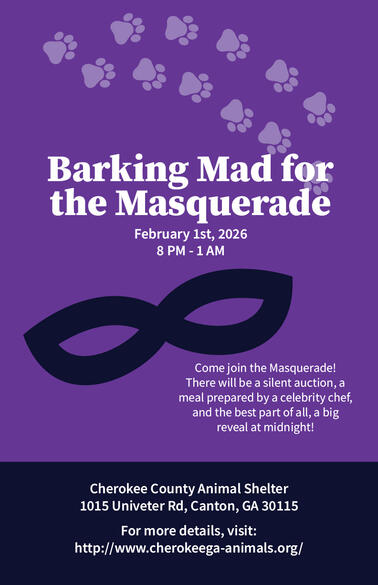 Pet Masquerade. School Project - 2026. Adobe Illustrator